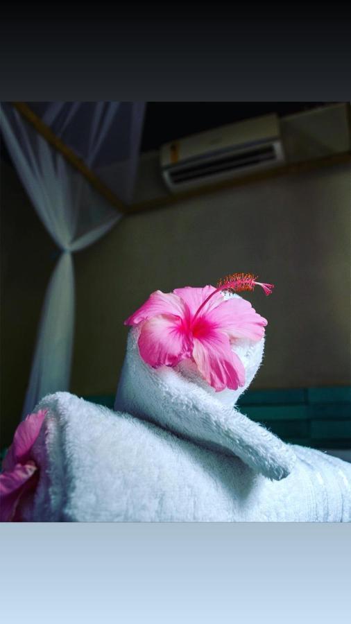 Ville Sweet Home Canoa Quebrada Ngoại thất bức ảnh