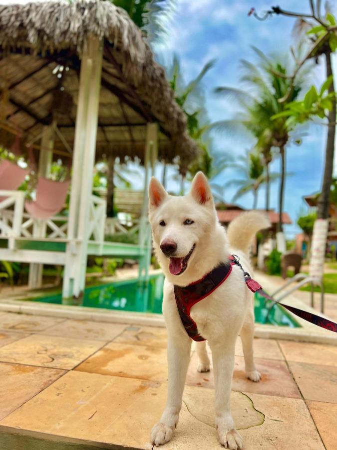 Ville Sweet Home Canoa Quebrada Ngoại thất bức ảnh
